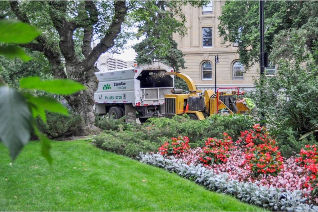 Canadian Tree Care