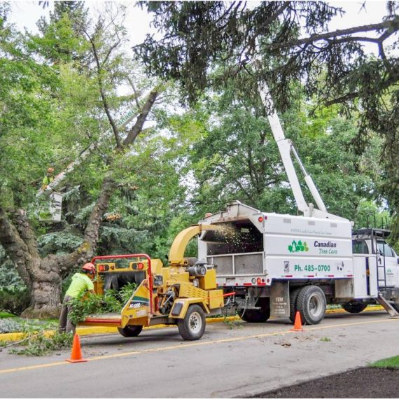 Canadian Tree Care